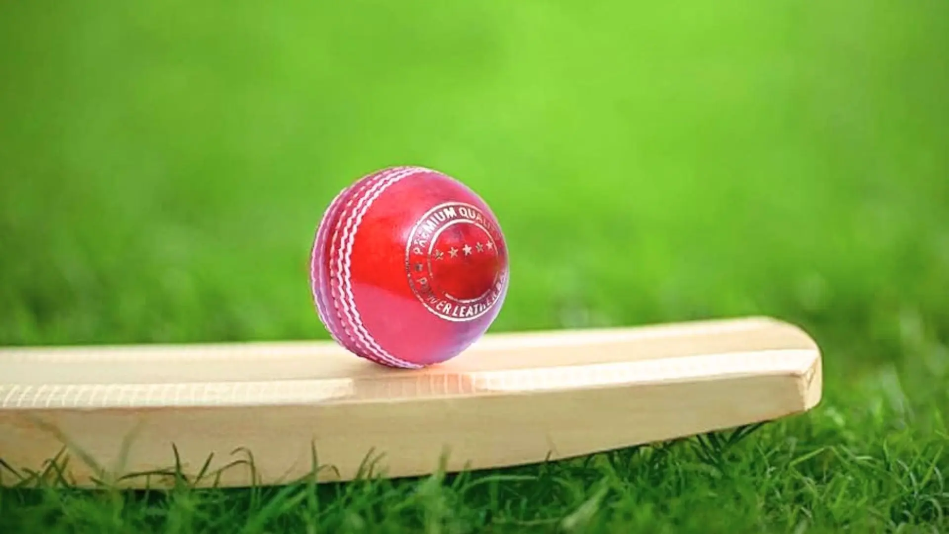 Cricket